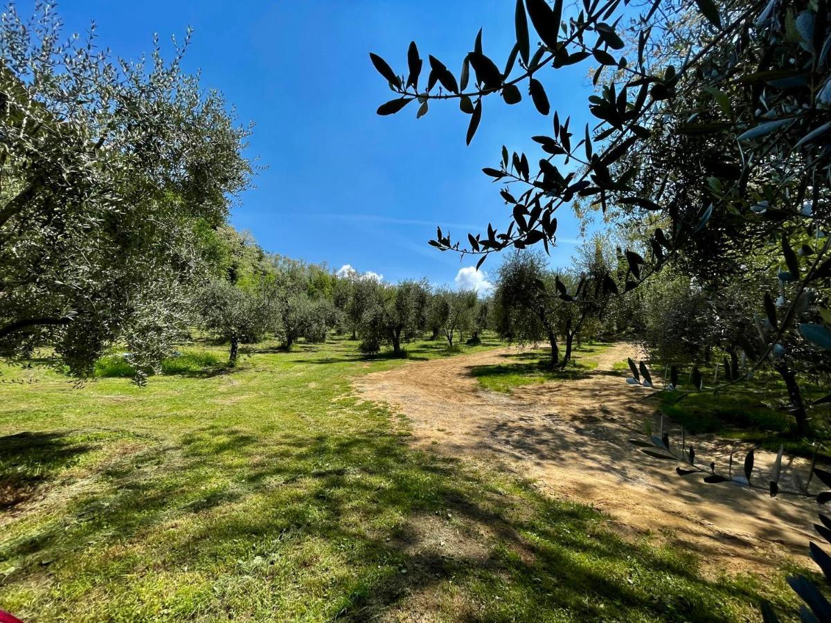 Podere Il Casone Serravalle Pistoiese Exteriér fotografie